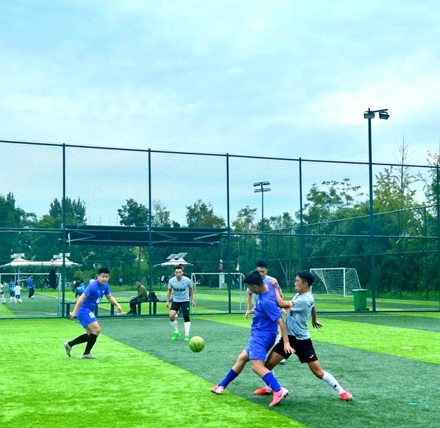 关于精彩纷呈的足球大赛即将点燃激情的信息