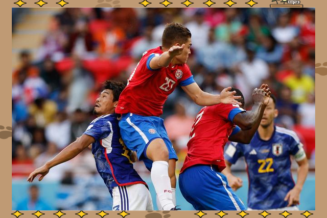 关于波黑队逆转摩洛哥,赢得激动人心的比赛的信息 关于波黑队逆转摩洛哥,赢得激动人心的比赛的信息